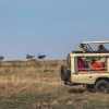 Отель Sentrim Mara Game Lodge, фото 23