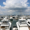 Отель Sheraton Grand Panama, фото 34