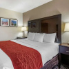 Отель Comfort Inn, фото 3