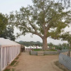 Отель Kumbh Luxury Tents, фото 12