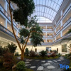 Отель Daheng Rizhao Jinshan Snow Mountain Panorama Garden Hotel, фото 5