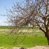 Отель Rural El Castillejo, фото 8