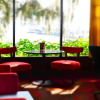 Отель Crystal Cove Hotel, фото 20