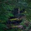 Отель Red Wolf Cabin in Maggie Valley, фото 14