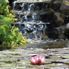 Отель Stiftsgården Åkersberg, фото 22