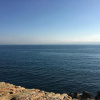 Отель Cap Antibes Les Bosquets, фото 10