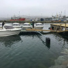 Отель Båtsfjord Brygge, фото 42