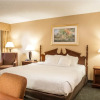 Отель Grand Idaho Inn & Suites, фото 20