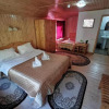 Отель Pensiunea Valea Cetatii, фото 5