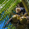 Отель Casa Grande at Pacuare Reserve, фото 17