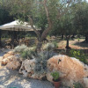 Отель Villa Trullo Cristi, фото 3