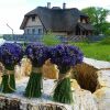 Отель przy Dworze Spa & Wellness в Дроблин