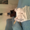 Отель B&B Le Rondini, фото 15