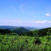 Отель Landgasthof zum Sorpetal, фото 31