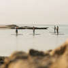 Отель Ras Abrouq Desert Resort, фото 18
