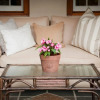 Отель Rusthuiz Guest House, фото 23