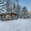 Отель Chalet Megeve, 5 Pieces, 10 Personnes - Fr-1-453-10, фото 1