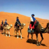 Отель merzouga hostel holiday, фото 32