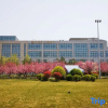 Отель Jiulongsheng Swan Hotel, фото 7
