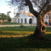 Отель Masseria Colle Carro, фото 10