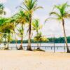 Отель Overbridge River Resort, фото 24