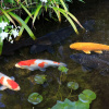 Отель Yufuin Baien Garden Resort, фото 20