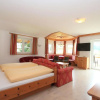 Отель Apartment Gattererberg 1, фото 6
