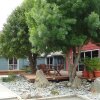 Отель Forest Lodge, фото 1
