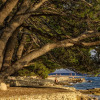 Отель Mobile Homes Camp Ba ko Polje - Adriatic Kampovi, фото 1