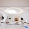 Отель Venus Royal Hotel, Wuzhou Wanhui City Hotel, фото 5
