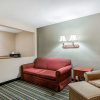 Отель Rodeway Inn & Suites, фото 23