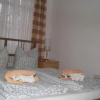 Отель Pension Ludwigshof, фото 3