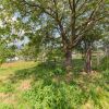 Отель Holiday Home in Marche-en-famenne With Garden, фото 34