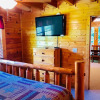 Отель Creekside Dreams - One Bedroom Cabin, фото 6