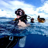 Отель Gili Divers Hotel, фото 11
