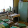 Отель Pensiunea Florilor, фото 13