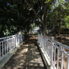 Отель Jain Farms and Resorts, фото 2