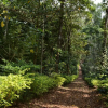 Отель Heights Farm Stay - Coffee Estate Stay, фото 11
