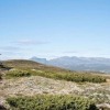 Отель Topcamp Hallingdal - Ål, фото 19