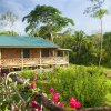 Отель Dream Valley Belize в Бельмопане