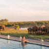 Отель Jamala Madikwe Royal Safari Lodge - All Inclusive, фото 14