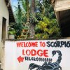 Отель Scorpion Hill Lodge - Hostel, фото 38