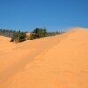 Отель Sanddune Hotel, фото 23