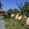 Отель Mango Home Riverside, фото 14