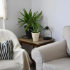 Отель Central flat, 300m from the beach, фото 1