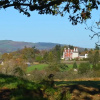 Отель Highland Moors Guest House & Conference Centre, фото 32