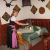Отель Gasthof Staudnwirt, фото 11