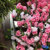 Отель Yangshuo Hetang Yuese Homestay (West Street Branch), фото 3