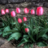 Отель El Jardín Secreto, фото 1