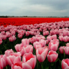 Отель Zonneweelde, фото 41